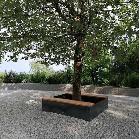Ferienwohnung Schuhmann Mit Wintergarten Und Garten Therme Aquapulco Und Ikuna Erlebnispark, Zoo Schmiding 20 Min Mit Auto Entfernt Ab 3 Naechte Buchbar Hinzenbach Εξωτερικό φωτογραφία