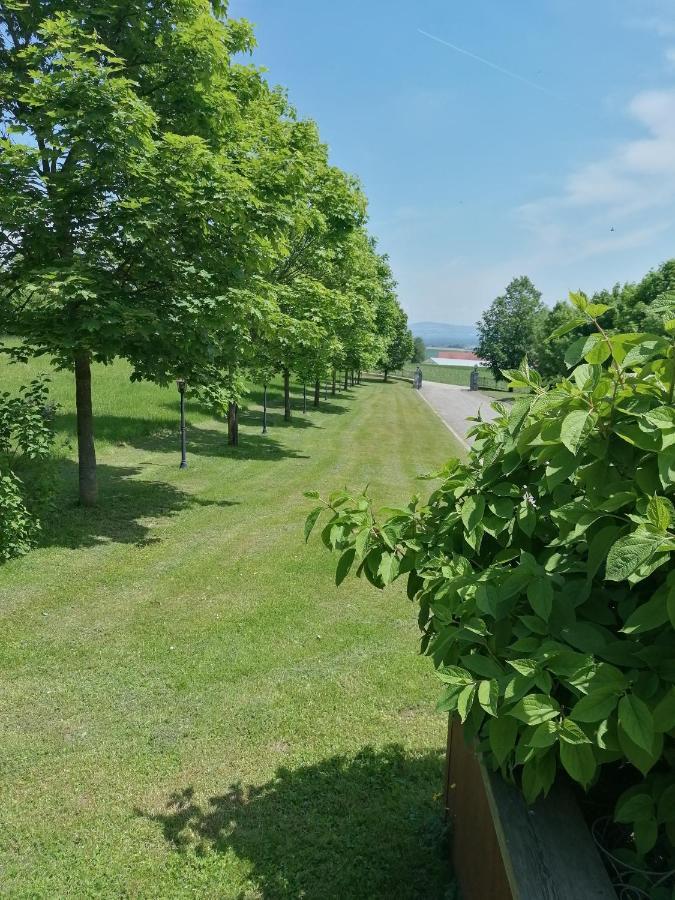 Ferienwohnung Schuhmann Mit Wintergarten Und Garten Therme Aquapulco Und Ikuna Erlebnispark, Zoo Schmiding 20 Min Mit Auto Entfernt Ab 3 Naechte Buchbar Hinzenbach Εξωτερικό φωτογραφία