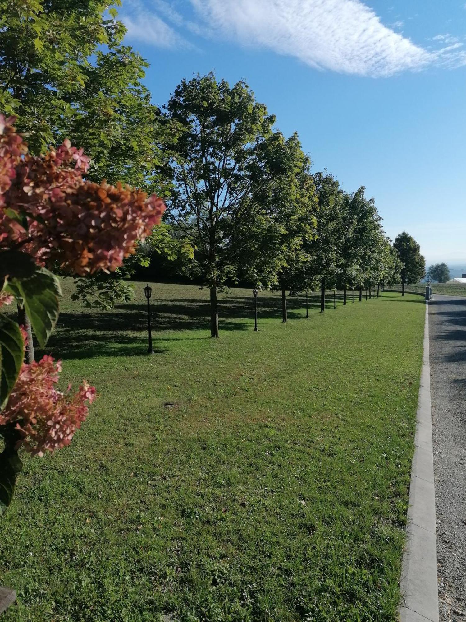 Ferienwohnung Schuhmann Mit Wintergarten Und Garten Therme Aquapulco Und Ikuna Erlebnispark, Zoo Schmiding 20 Min Mit Auto Entfernt Ab 3 Naechte Buchbar Hinzenbach Εξωτερικό φωτογραφία